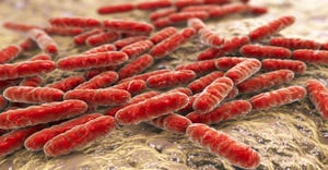 Utilizing inhibition assays to determine probiotic stability
