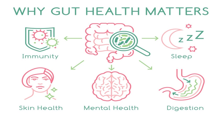 microbiome health.jpg microbiome health.jpg