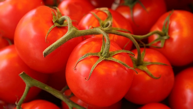 USDA Raises Tomato Lycopene Limit for Meat