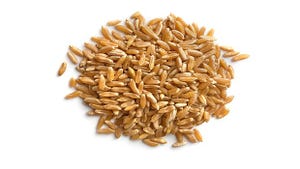 Khorasan Wheat-Based Replacement Diet Improves Heart Health