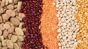 Why Pulses are the Next Big Thing in Beverage