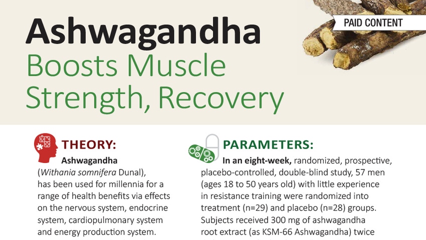 Ashwagandha Boosts Muscle Strength, Recovery - Infographic