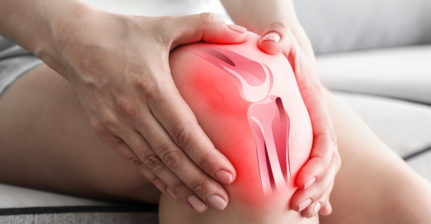 Joint Health Steadily, flexibly forward.jpg Joint Health Steadily, flexibly forward.jpg