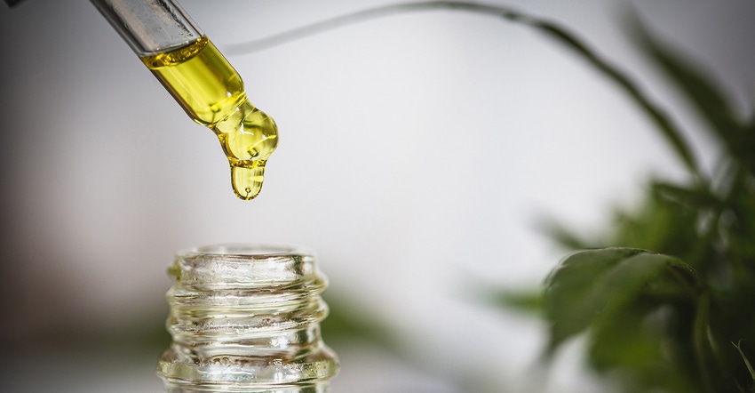 CBD drop for web.jpg CBD drop for web.jpg