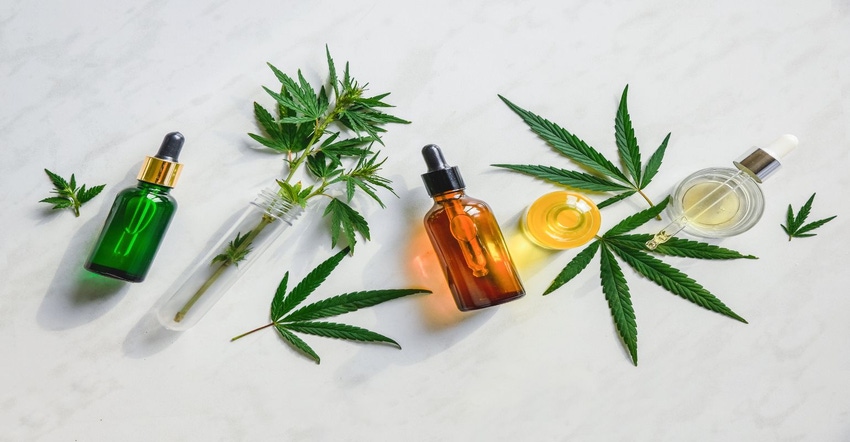 CBD products 2021.jpg