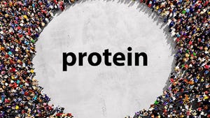 Ingredient Insights Video: Protein Market