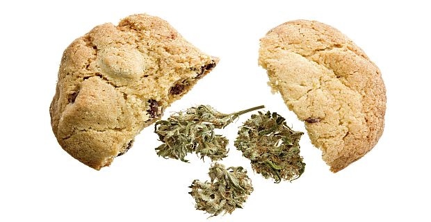 CDC Highlights Marijuana-Related Death in Report on Edibles CDC Highlights Marijuana-Related Death in Report on Edibles