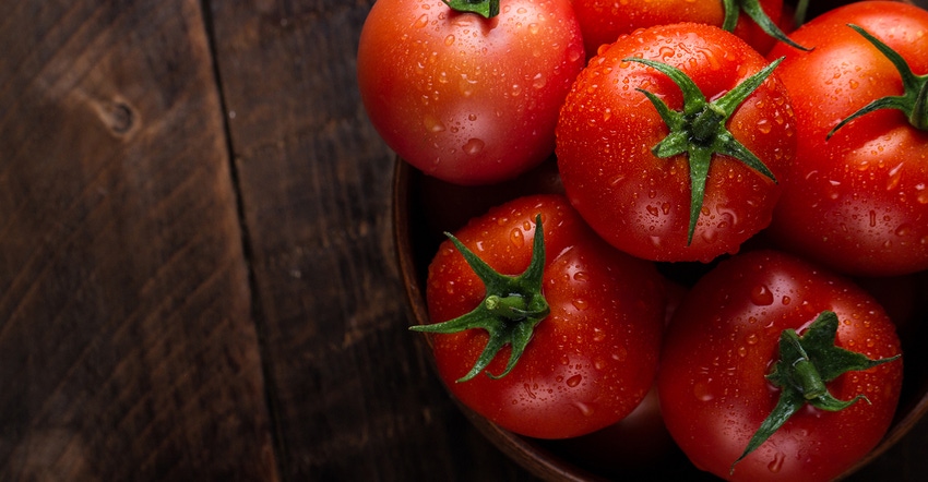 Fresh tomatoes.jpg