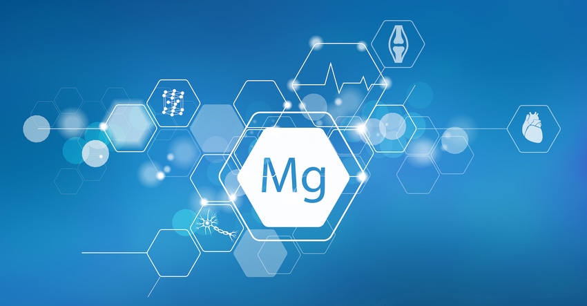 Magnesium is a top selling mineral ingredient.