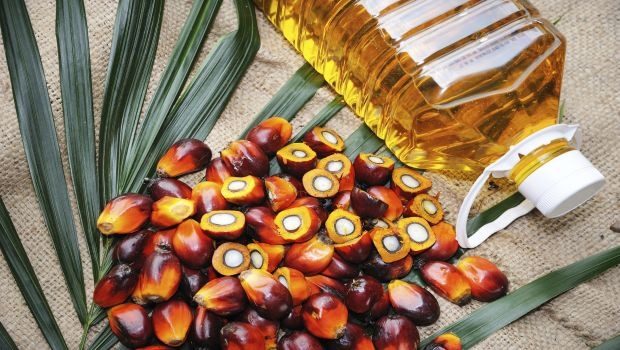Guest Blog: Rising Demand for Malaysian Palm Oil Due to Health, Sustainability