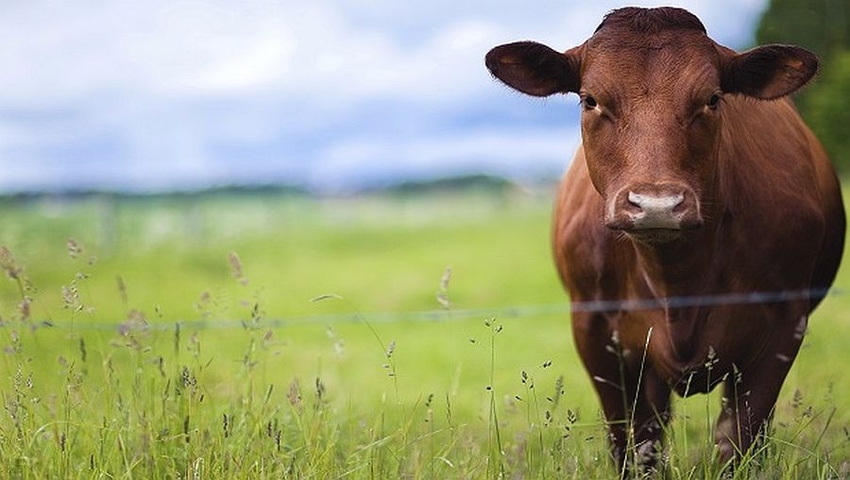 Milk Specialties acquired by private equity firm Milk Specialties acquired by private equity firm