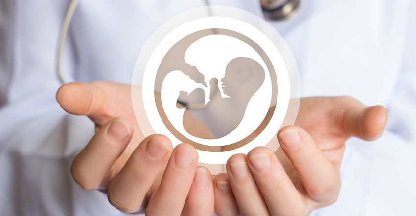 fertility image for web.jpg fertility image for web.jpg
