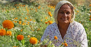 03_6 Improving Lives Foundation promotes gender equality and nutrition among rural farmers.jpg