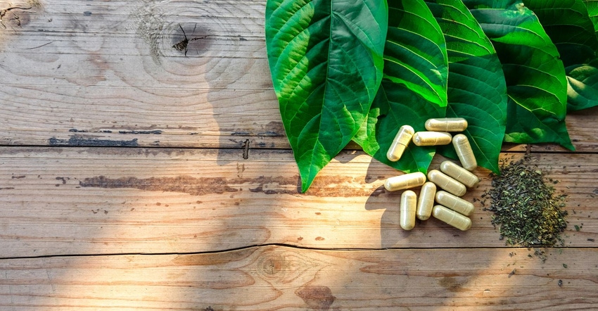 Kratom pills 2021.jpg Kratom pills 2021.jpg
