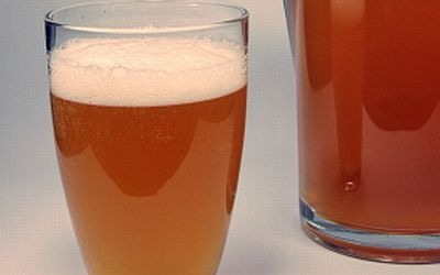 Kombucha Under Fire Kombucha Under Fire