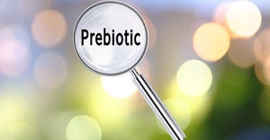 Market for prebiotics shows promise.jpg