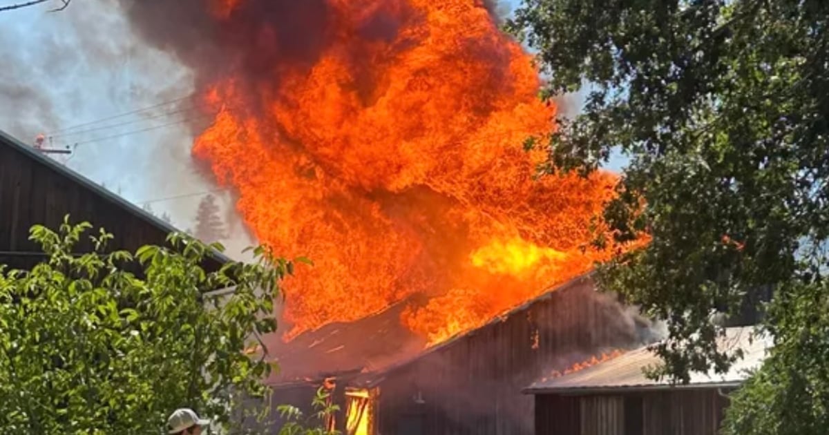 Fire devastates Oshala Farm