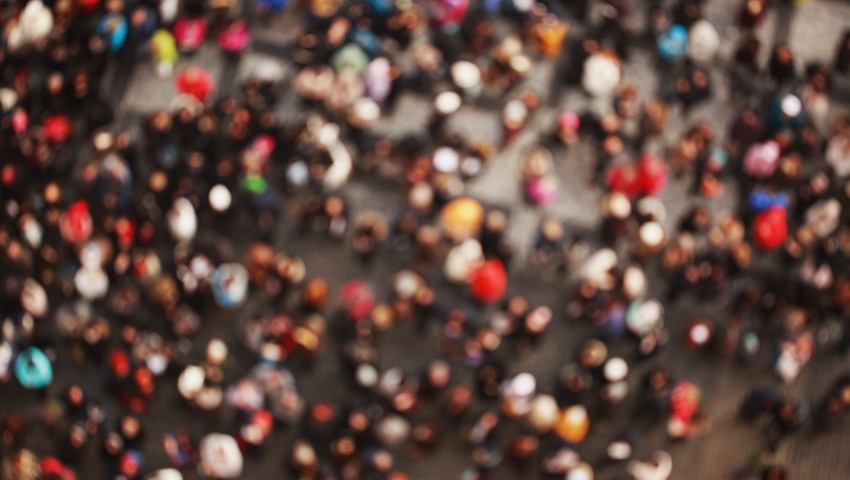 Demographics and targeting the natural products consumer Demographics and targeting the natural products consumer