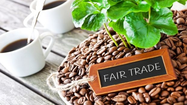 Fair Trade Impacts Consumers Buying Decisions
