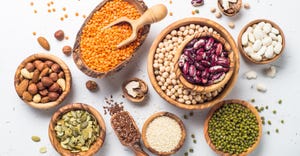 The Emerging Plant Protein Market