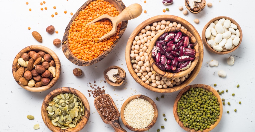 The Emerging Plant Protein Market The Emerging Plant Protein Market