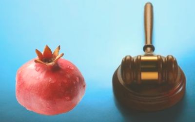 POM Lawsuit Raises Questions about FTC Standards POM Lawsuit Raises Questions about FTC Standards