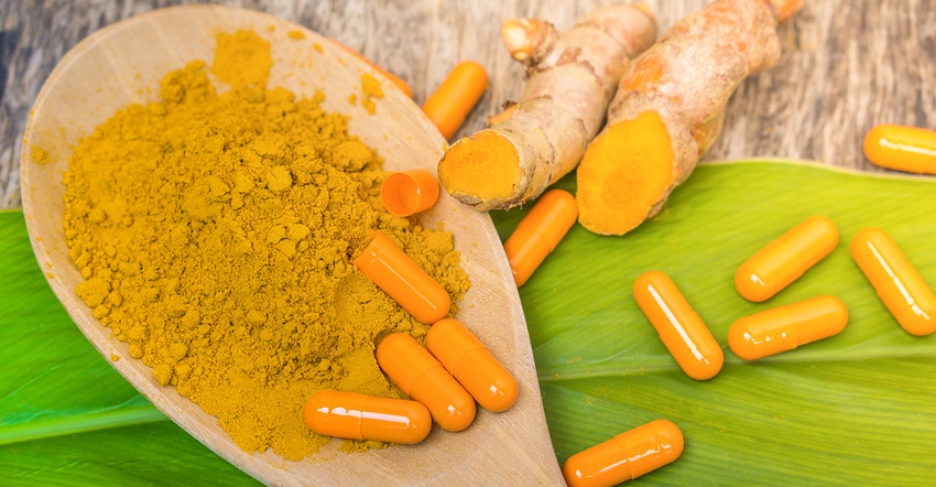 New research, product innovation expand curcumin’s reach.jpg New research, product innovation expand curcumin’s reach.jpg