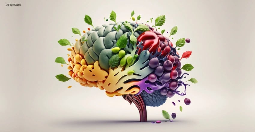 12 smart suppliers at SupplySide East innovating for cognitive supplements - Vimarsana News