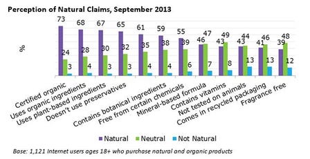  The Natural and Organic Personal Care Consumer - US 2013