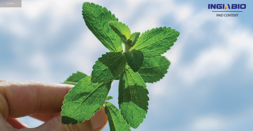 Finding breakthroughs in stevia technology for clean aftertaste