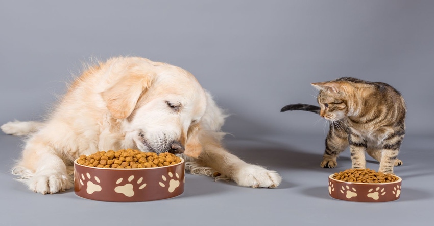 06_26 animal nutrition NEXTY.jpg 06_26 animal nutrition NEXTY.jpg