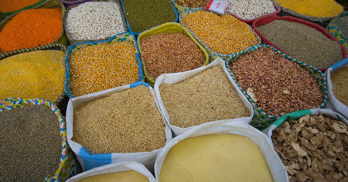 The structure of grain types and their properties