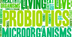 Probiotic Health Benefits in Natural Foods and Supplements