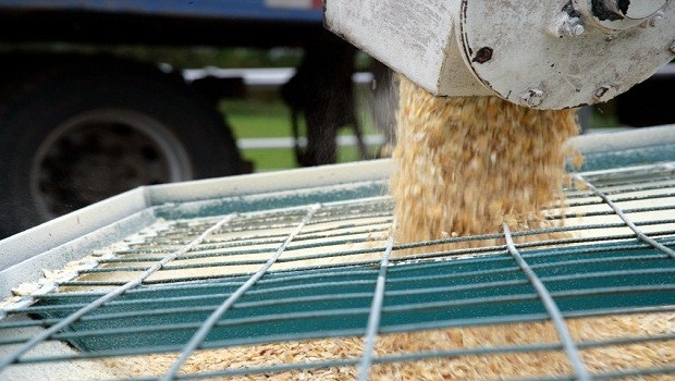 Report: Analysis of the Global Animal Feed Ingredients Market Report: Analysis of the Global Animal Feed Ingredients Market