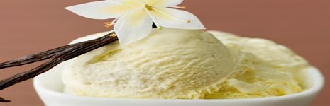 Vanilla: An Organic Original