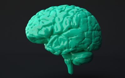 The Cognitive Continuum The Cognitive Continuum