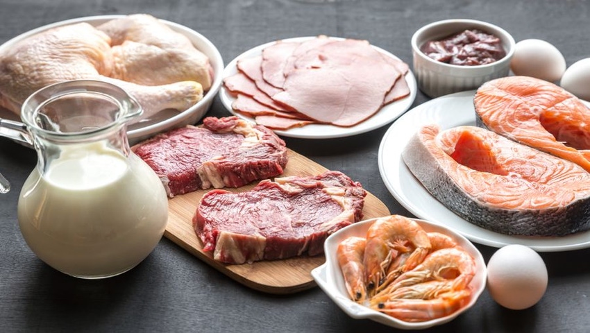 Protein Choices Abound for Sports Nutrition Protein Choices Abound for Sports Nutrition