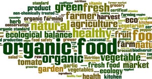 The organic food and beverage supply chain: Stretching to meet demand