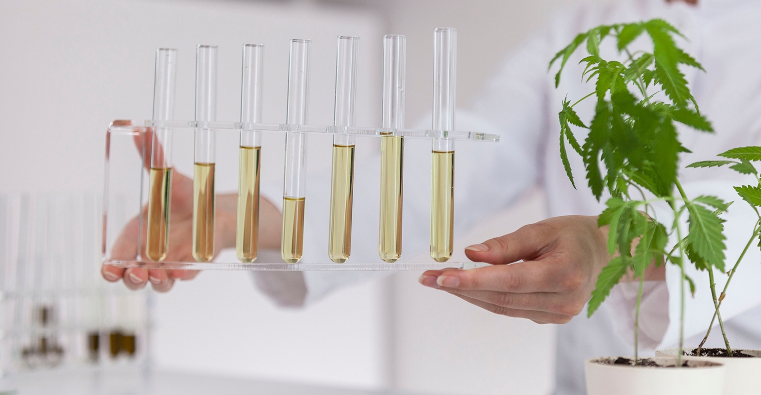 CBD Hemp Extracts And Extraction Processes