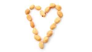 USDA Releases Peanut Variety with High Levels of Oleic Acid