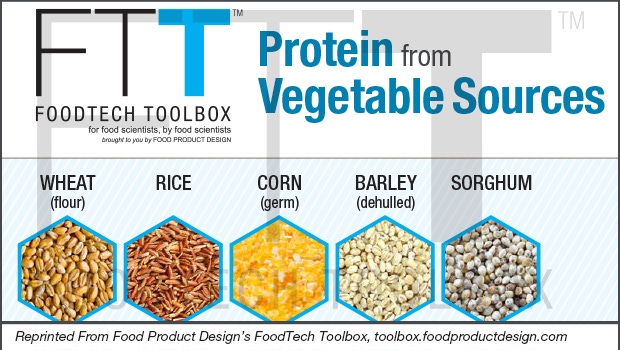 Protein from Vegetable Sources