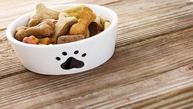 Report: The Impact of FSMA on the Pet Food Industry Report: The Impact of FSMA on the Pet Food Industry
