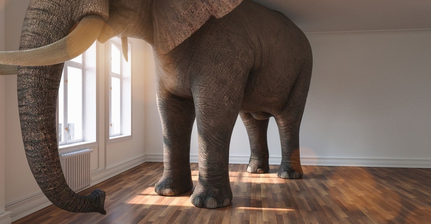 Dietary supplements and the elephant in the room: quality