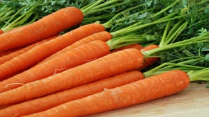 What DSHEA is missing: Carrots!