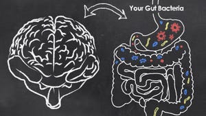 Do You Have the Guts to Perform? Microbial Balance, the Brain and Athletic Performance