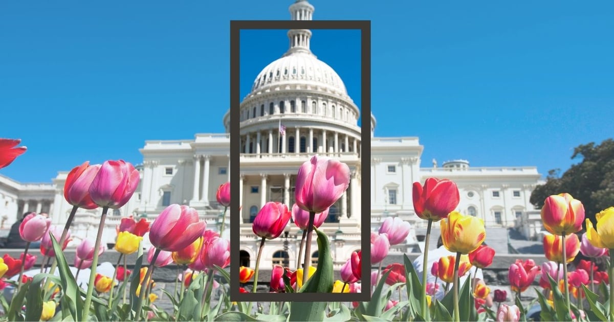 CRN advocates for dietary supplement policies at 2026 Day on the Hill