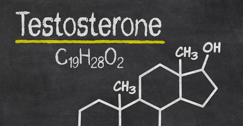 Study finds KSM-66 increases testosterone.jpg