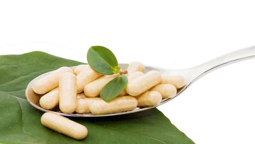 Formulating and Manufacturing Supplements with Plant Proteins