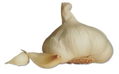 The Dirt on Garlic The Dirt on Garlic