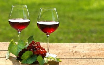 The Polyphenol Paradox The Polyphenol Paradox